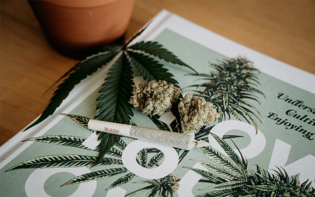 Navigating Cannabis Marketing Regulations: Stay Compliant with Rose & Gold